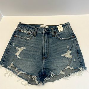 New Abercrombie and Fitch Distressed Denim Shorts